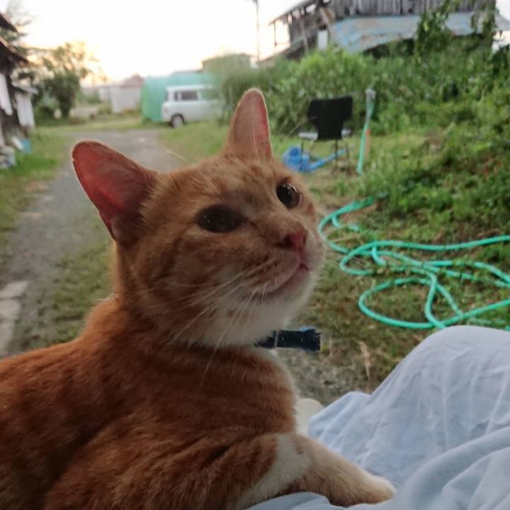 20b74e5b 3bb5 4416 8966 b36602402982 1568061260242