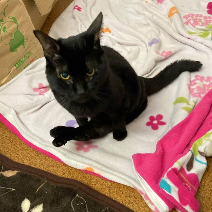 20b74eac 0398 4fe1 b121 689e54b9979e 1612166442611