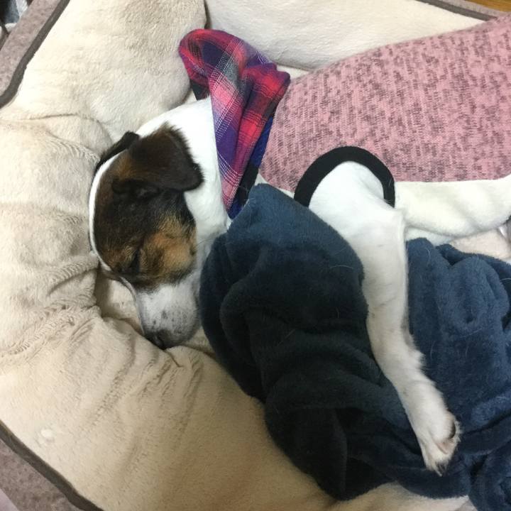 20b76497 5261 4224 9694 a6d7be844e70 1545996634265