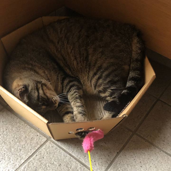 20b84b67 34c3 4bf8 8fc6 8d758aebdaf6 1562923718425