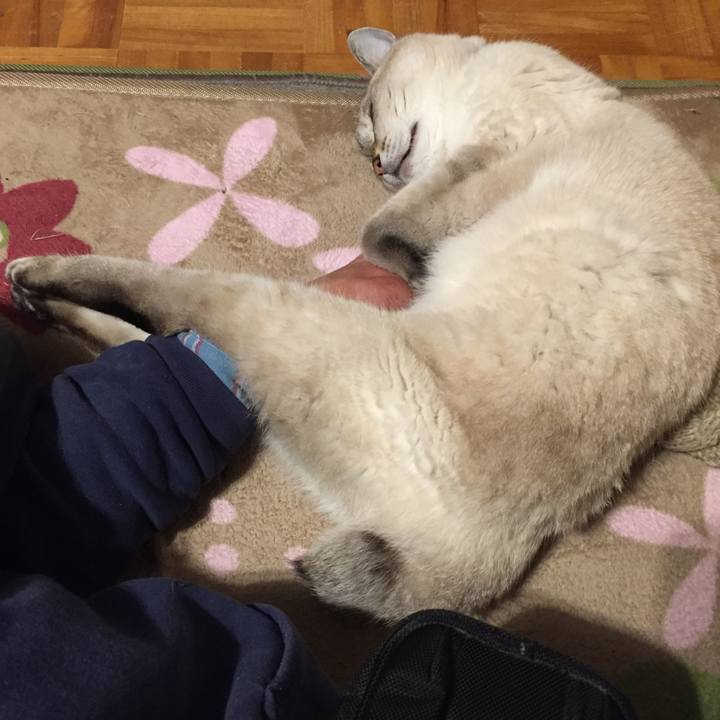 20b852ce 9f0d 4934 aee5 2c258bd8b613 1576414627152