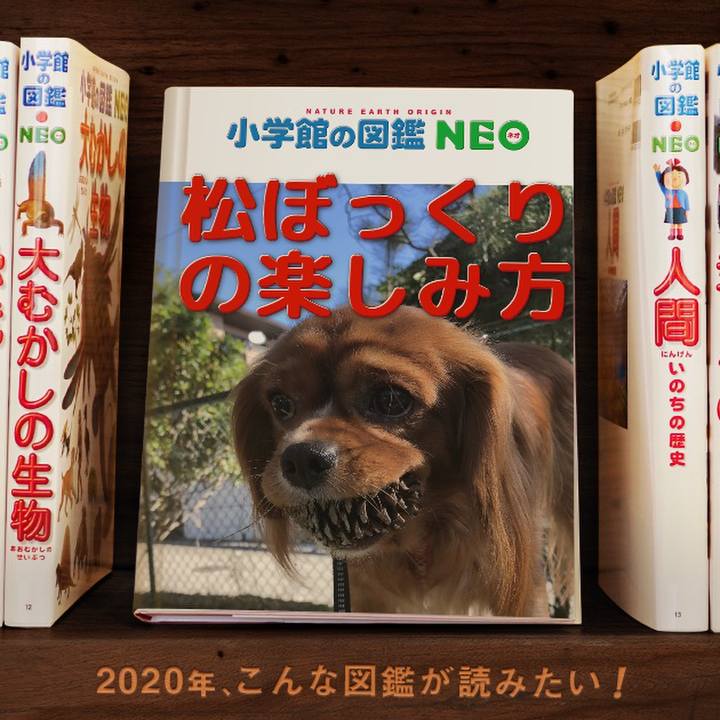 20b889fa 1fe1 4526 8641 b917d7f3cb76 1578233265919