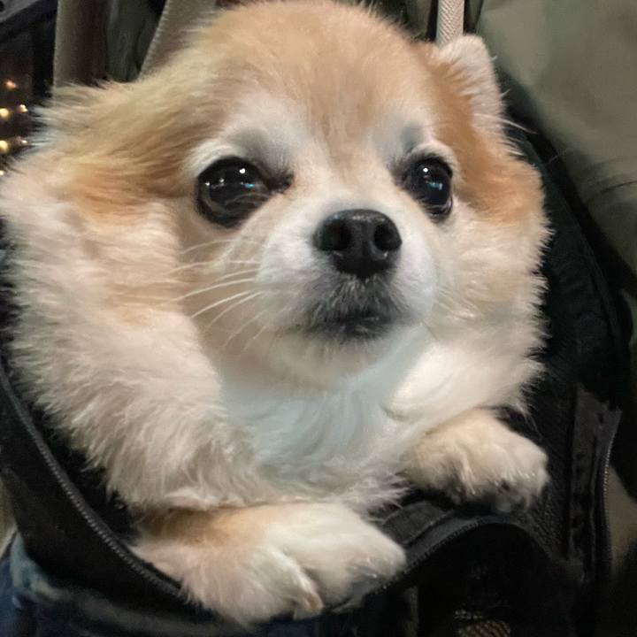 20b8ab74 e791 4e59 b15d 3cc60ab08700 1762090194881