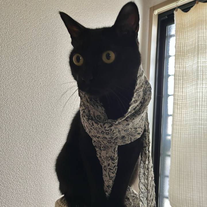 20b8abe2 9e4e 42de b32b 4b4e28d87b1b 1696829720320