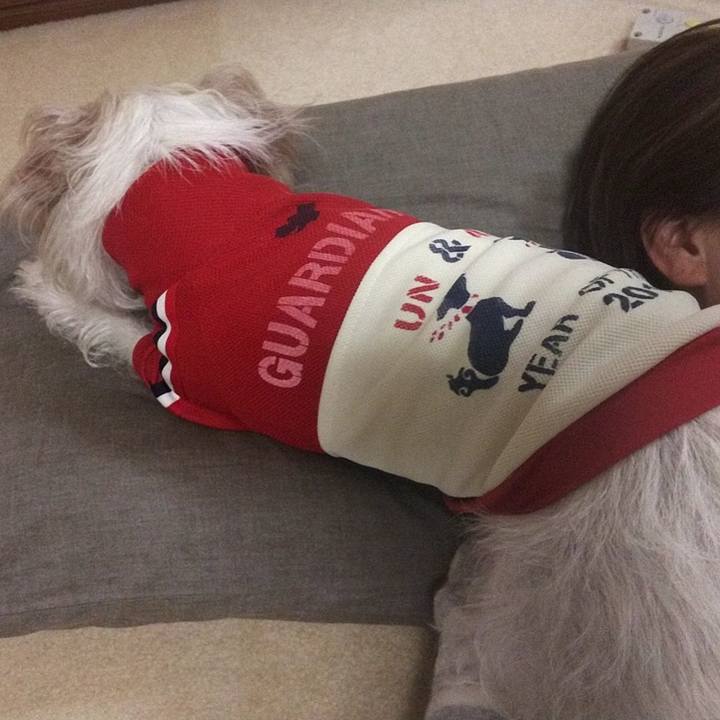 20b8ae06 521d 4a05 a546 ca985e2744ec 1572688396932