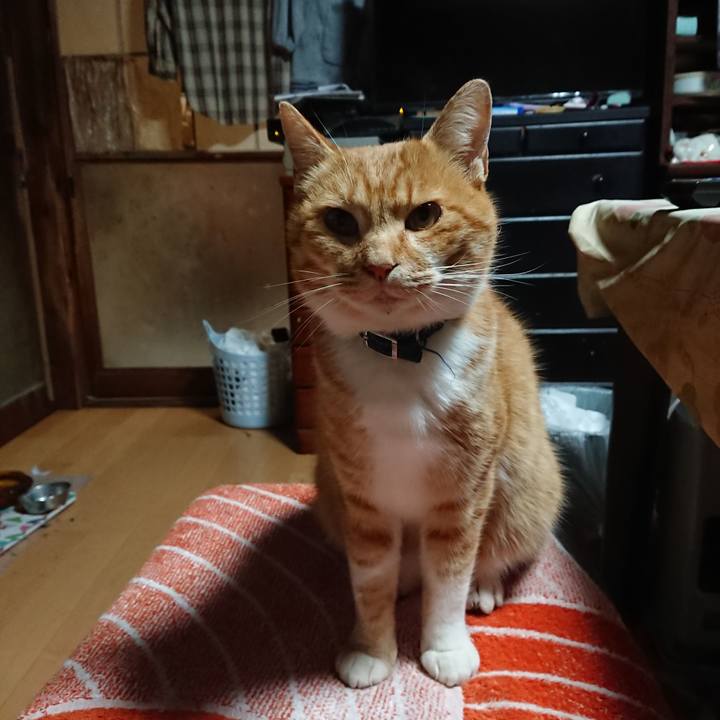 20b8c633 1e12 43ee a1d5 e55b75668370 1605123083975