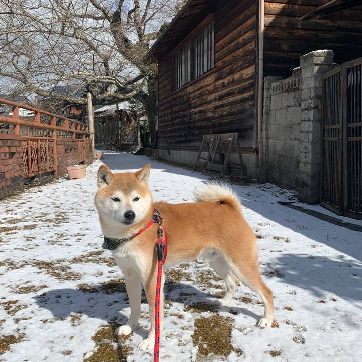 20b8ec80 da75 4539 b14e b648fdda4487 1645087894402