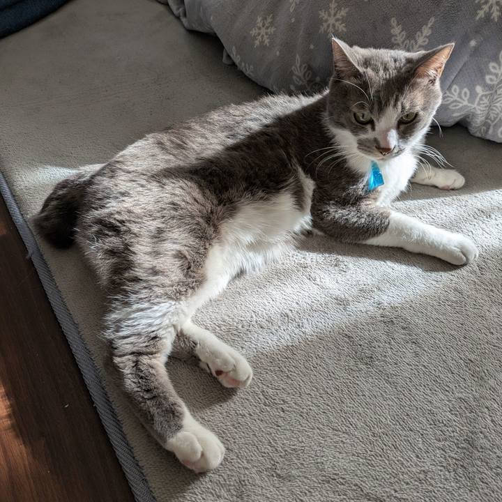 20b8fb76 41c5 4a8a 91f3 b4d91fcf906a 1734239199988