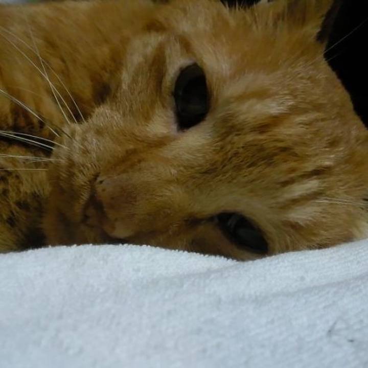 20b91ed7 1398 4e9b b125 66f9244ae675 1691024761029