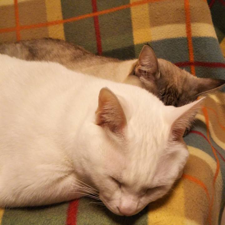 20b93a3e 795a 432c af0a 49707f902933 1552740417227