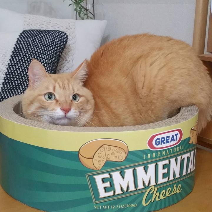 20b93d87 646d 4aaa 88cd b3bef4e6ffea 1557874748786