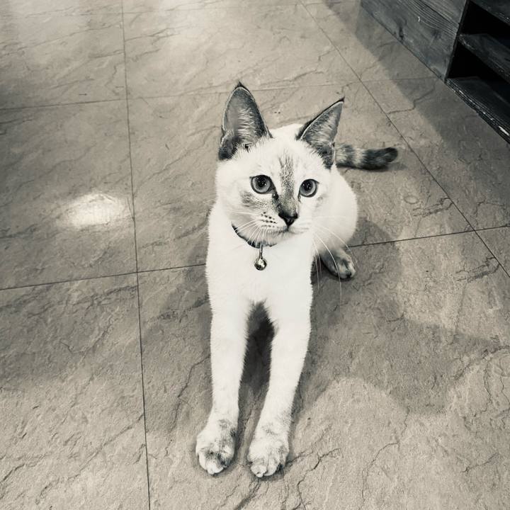 20b95cab 6c5d 4875 ae79 39b4997adf21 1634112258862