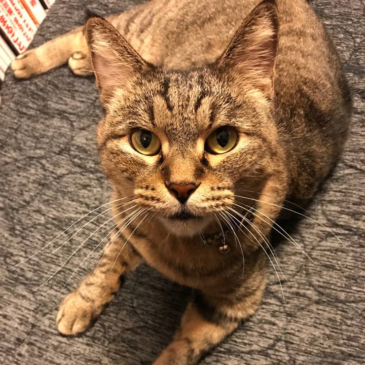 20b999d6 d89f 4acc b953 ac416bd69639 1538653907046