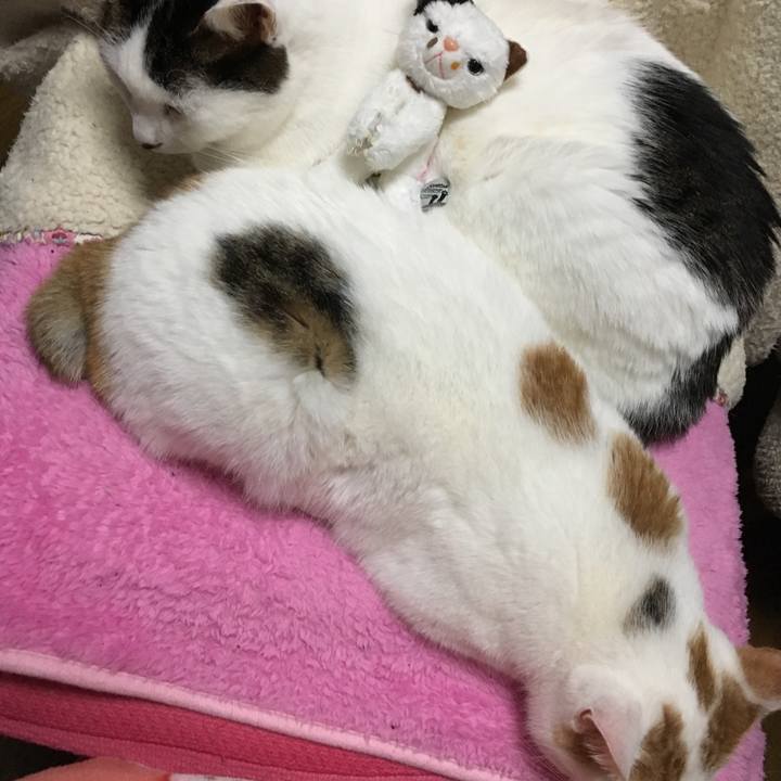 20b9c81f 7c77 4a35 a40c 1d3edac67b73 1514813402065