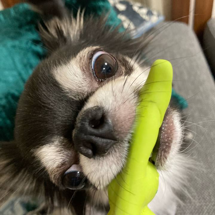 20b9e263 abda 4532 a728 9505bb929e3e 1639842543074