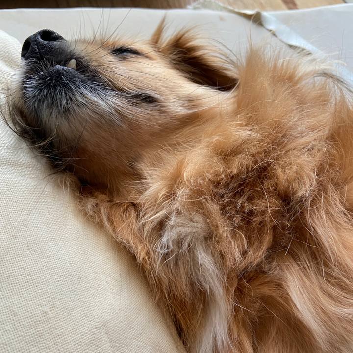 20b9e5d9 4485 49a6 9310 b4ff72263dd0 1656197957686