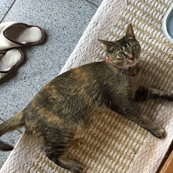 20b9ec66 f0ea 477f 8169 4bd7508d7efb 1616490314766