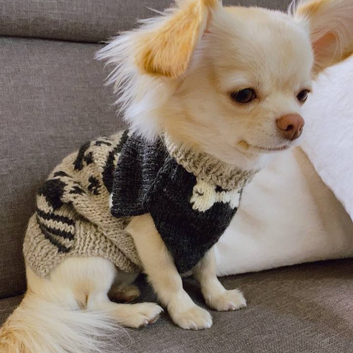 20ba4836 c4fc 4ed2 aea1 8f9eb0962ddf 1610528823442