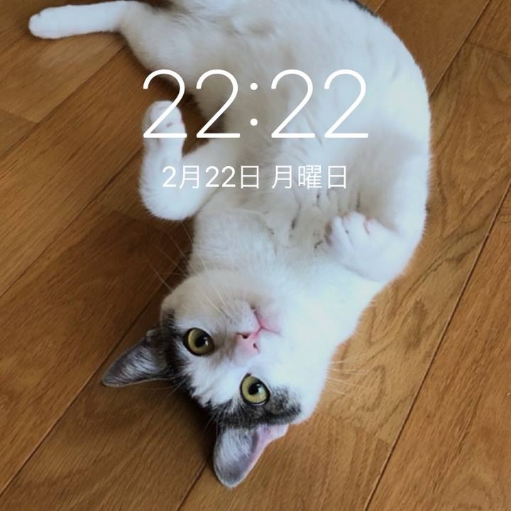 20ba7723 dbf9 493e 9e48 7d51a43d2bf6 1614000197094