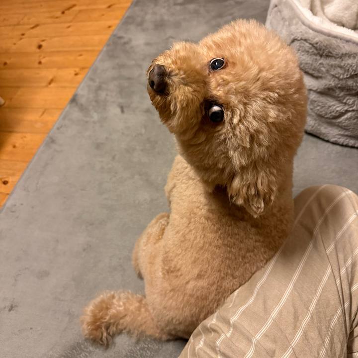 20ba8081 cbc9 450a 8cf8 cec49b8ee246 1766495028147