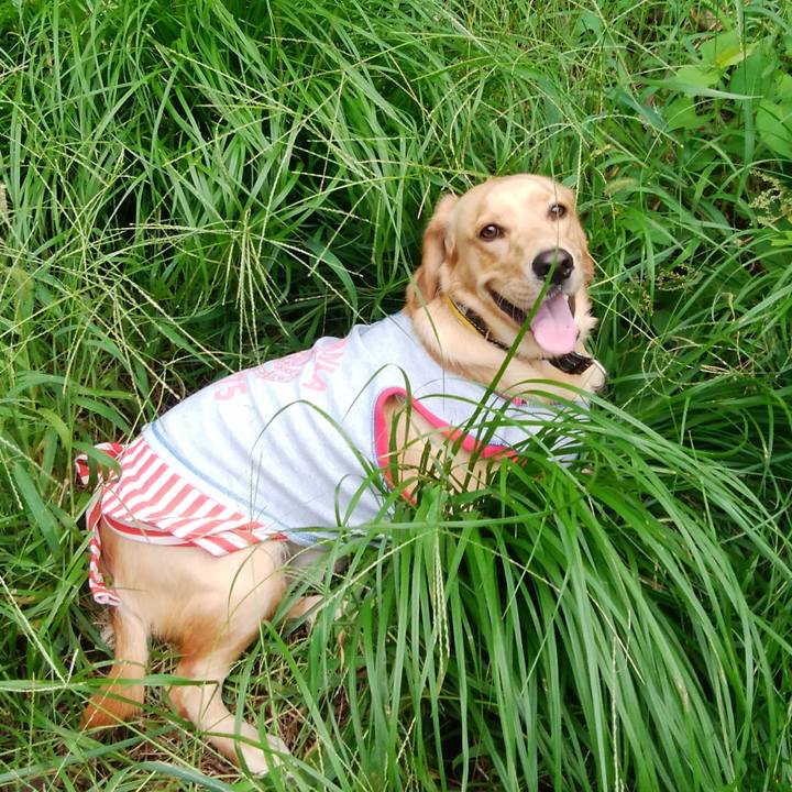 20baa781 f530 4c3c b0fb c9b5d80c9e9f 1537401590092