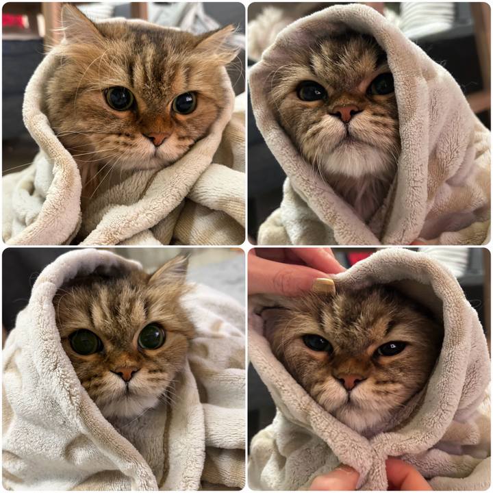 20badeb4 f592 4358 863e 1bfb4d2570b1 1763907958333