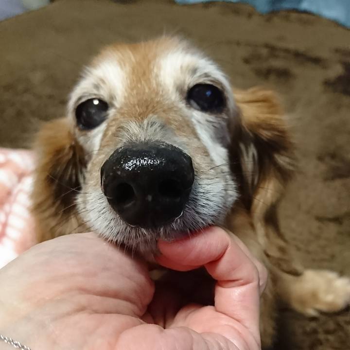 20bae083 f8d9 477f 9279 b8f253a227d1 1517478942060