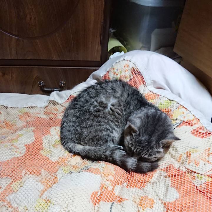 20bb2fc8 dfc1 4902 8c59 14b58657b415 1572783974264