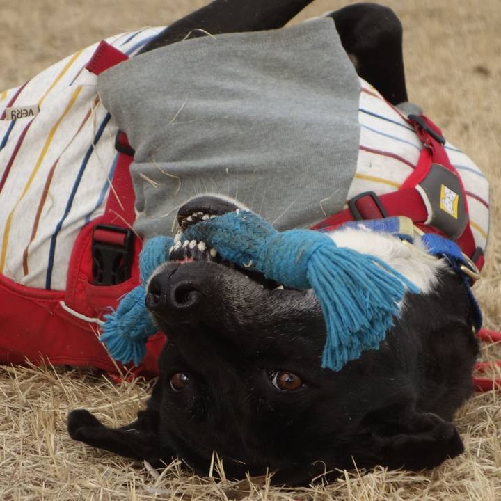 20bb4dd2 143e 49b8 b86c 30ccf04ea3cb 1678023088495