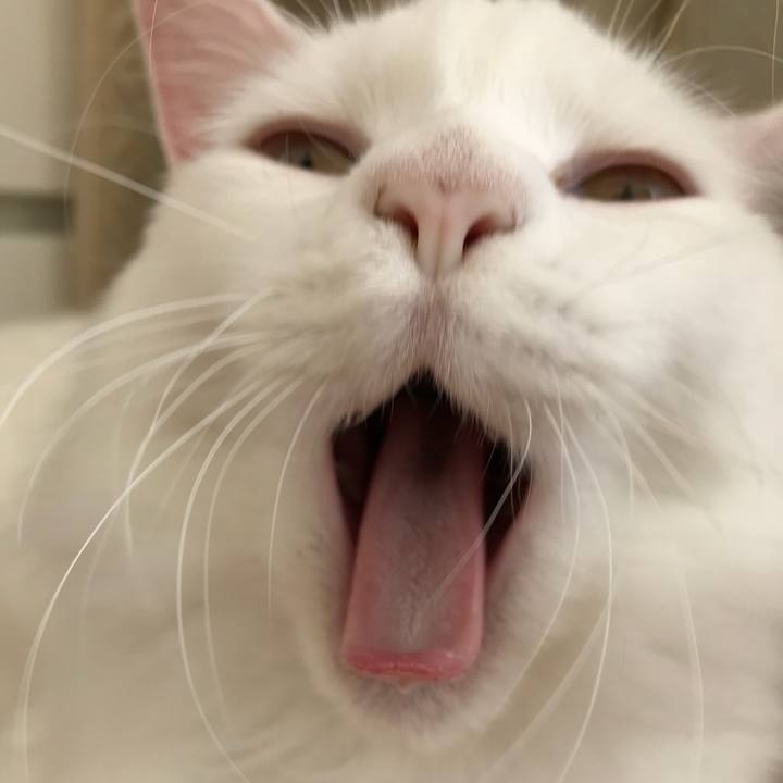 20bb67df 7c08 443c 9712 045c4d3956b8 1521025166013