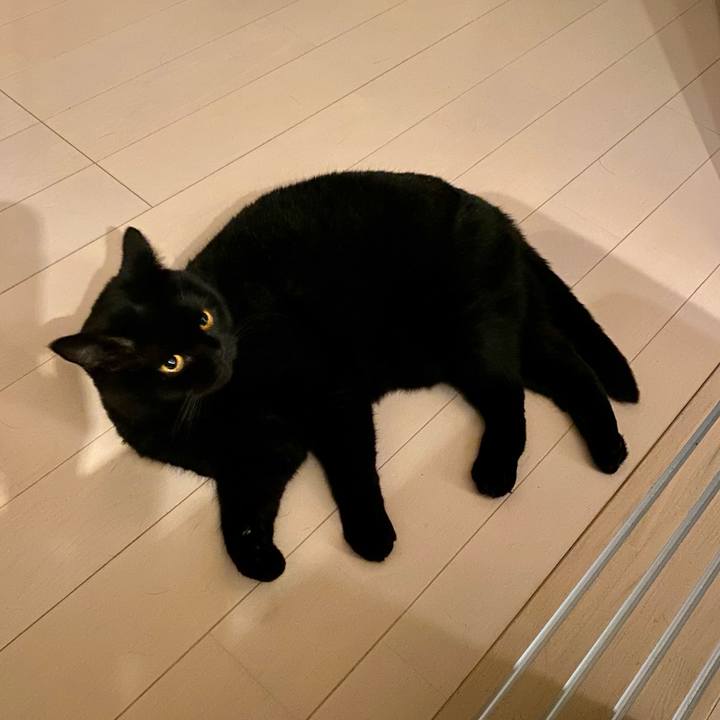 20bb848a 7e6b 45ef 986b 265f1294c306 1729256023015