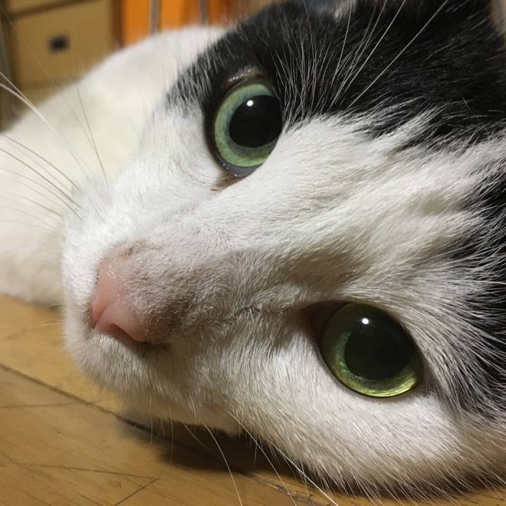 20bba26c d278 4533 bfee c975fb462f02 1536412318792