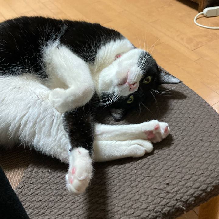 20bba6e4 8293 42a8 9e5c 13ebe4ddf21f 1642994704558