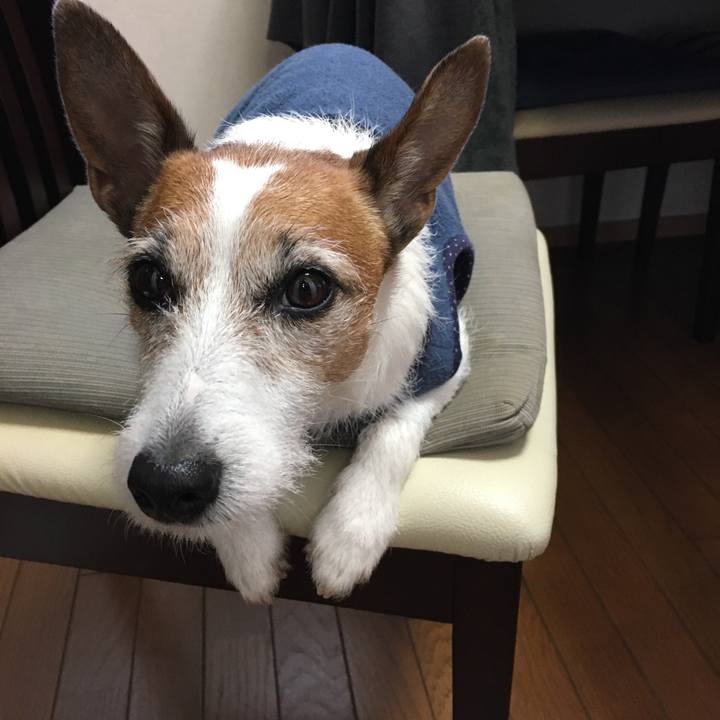 20bbb95a 2473 4ac0 ae8b 374b77c22f1d 1579476074038