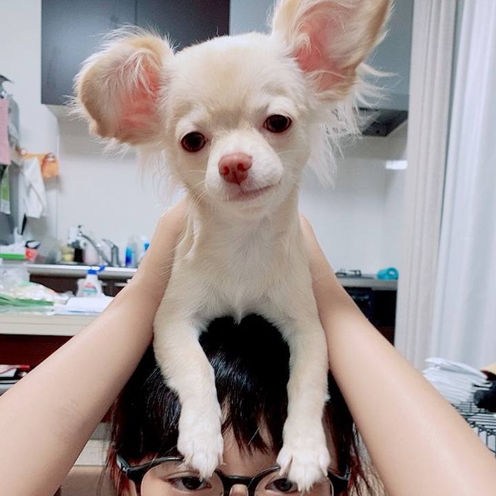 20bbd9f1 8621 4e9a 9665 e04fbde6c491 1595035953376