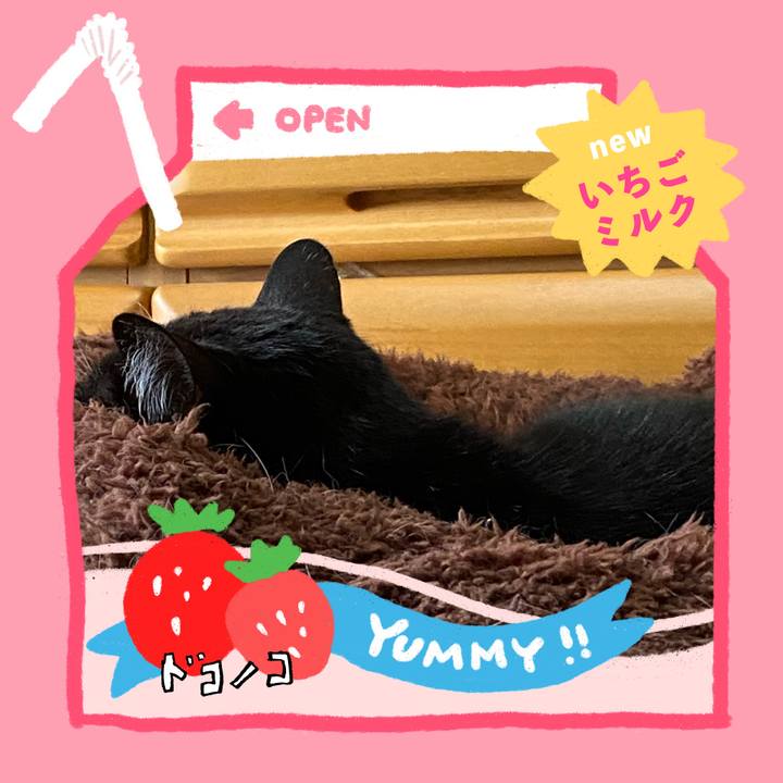 20bbdead 834c 4431 9d92 1c0812b7fe9f 1711028953687