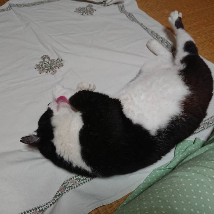 20bbf1e5 f081 4bad b7ca bfb781e5dfb1 1592221734897