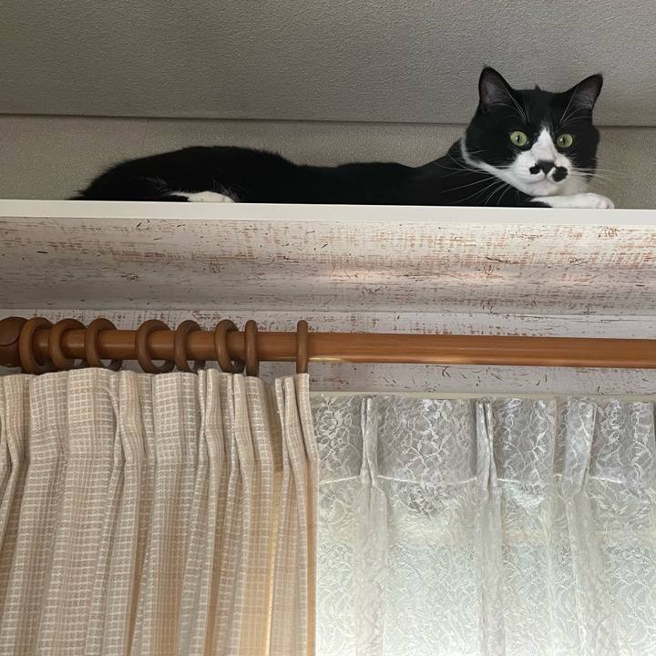 20bc264f e666 4031 a770 f93b4d98ce70 1657332054163