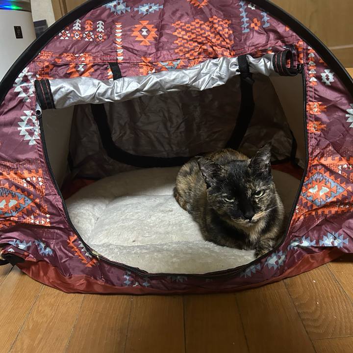 20bc2eed 087e 4aba 9306 a762ace64c8e 1765430002620