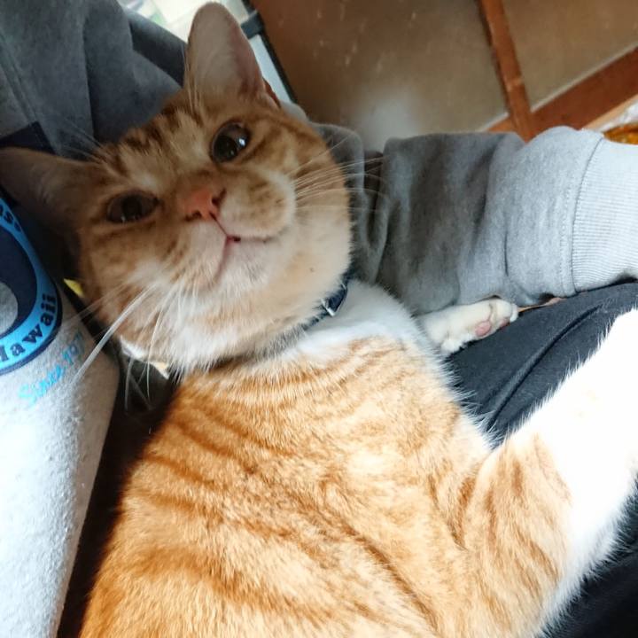 20bc76e2 8811 46b4 9bd2 acd62bcb0605 1606388022123