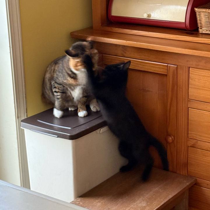 20bc89c9 abaf 4953 9f27 24d0e307de4a 1760483829176