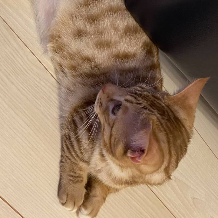 20bc8ae6 6cb3 483d 9c14 3d4bbdac107b 1675469830886