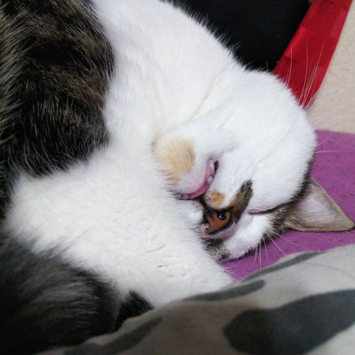 20bc9db7 0486 46c0 8b85 1c956f343183 1634859453930