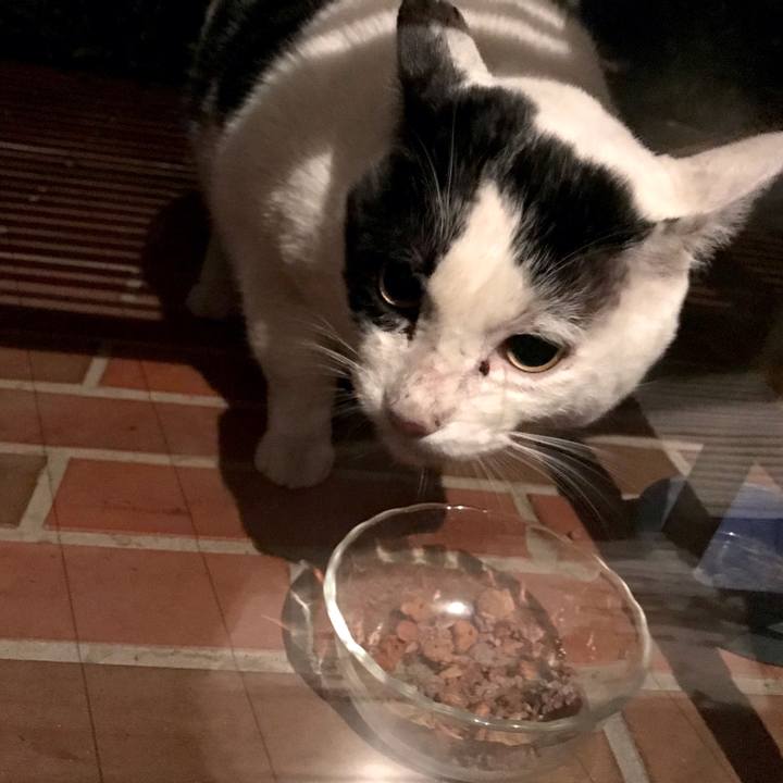 20bcbad8 3720 4136 8061 7f3ae54855e5 1609119942733