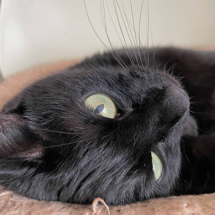 20bcc13d d7d9 463a 83b5 355d979ca210 1713572946976