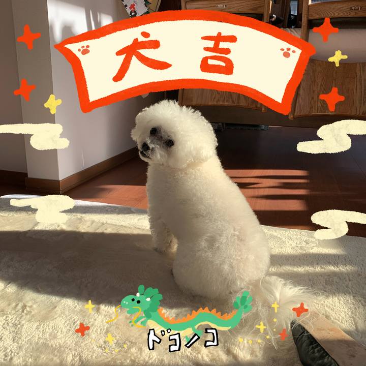 20bccd23 f247 4bb7 bd43 956cfa93aa21 1704155729297