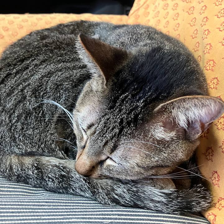 20bcce3f 5c85 4c23 be6d eb5b134b7974 1766965120393