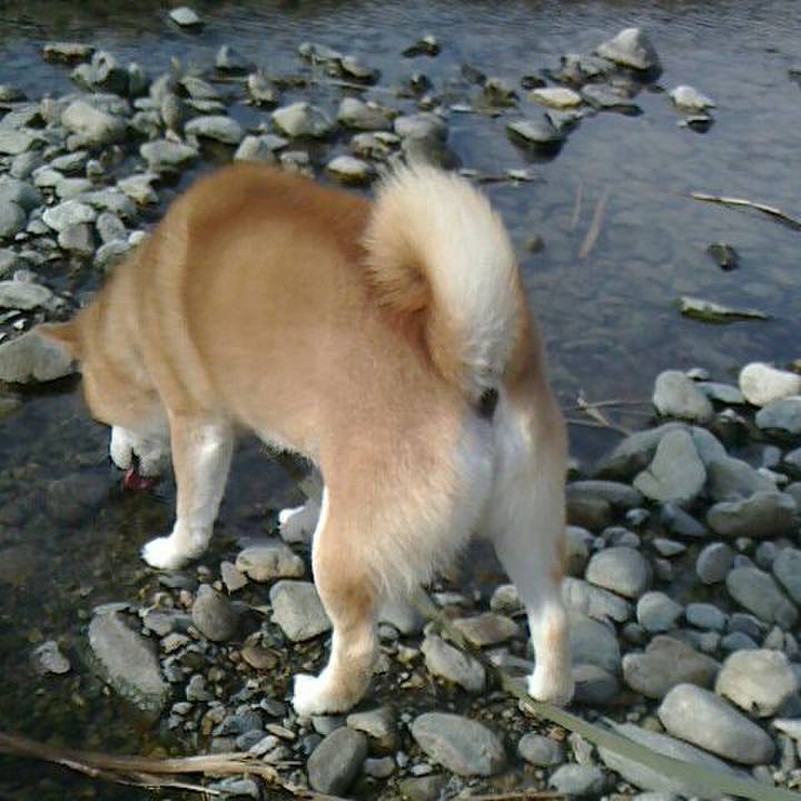 20bcd22a 35d0 4fbc 8be1 bfcf7b35fc83 1575524073895