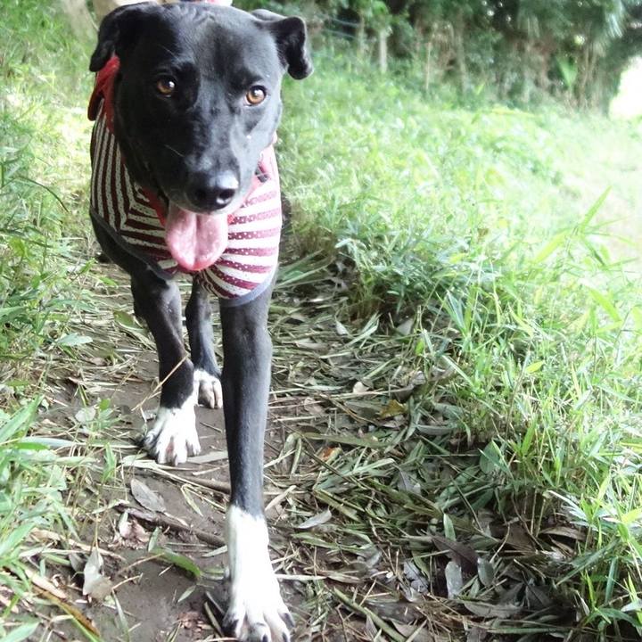 20bcdd05 f05c 4f85 bdb6 9f3f292716e4 1593387743688