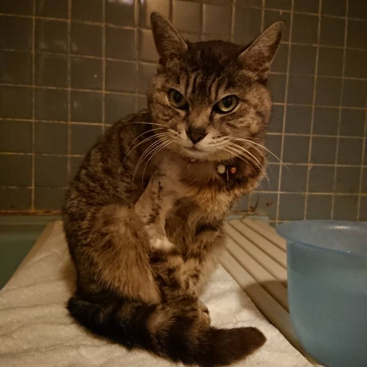 20bcfb28 f0d3 4d5c af41 2242fabdbf08 1589451680006